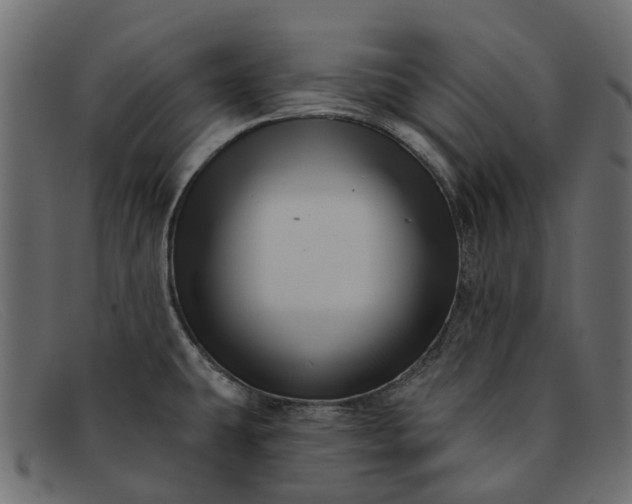 X0000091931431200709191350