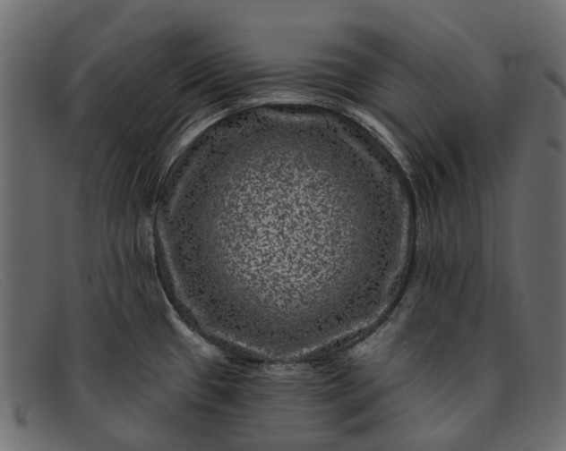 X0000091931433200709191351