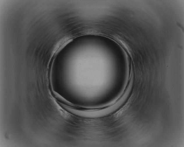 X0000091931434200709191351
