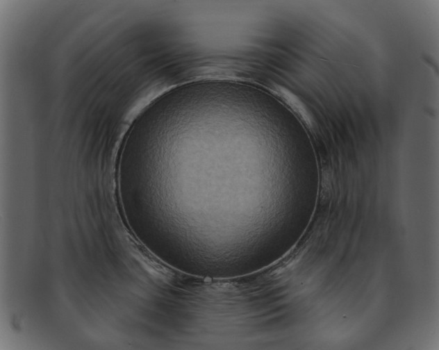 X0000091931435200709191351