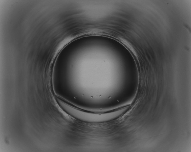 X0000091931437200709191351
