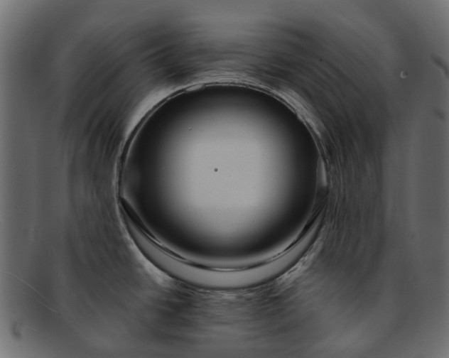 X0000091931438200709191351