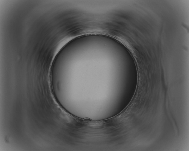 X0000091931440200709191351