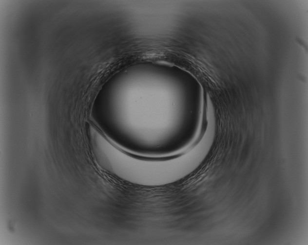 X0000091931441200709191350