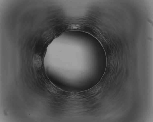 X0000091931442200709191350