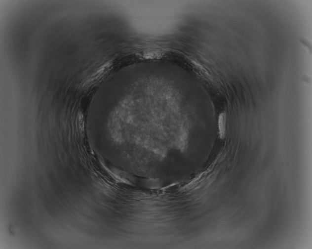 X0000091931443200709191350