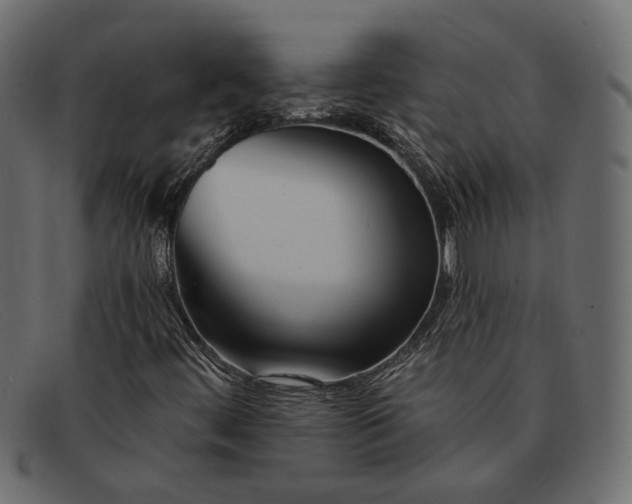 X0000091931444200709191350