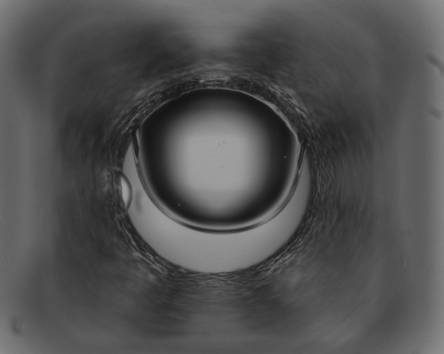 X0000091931445200709191350