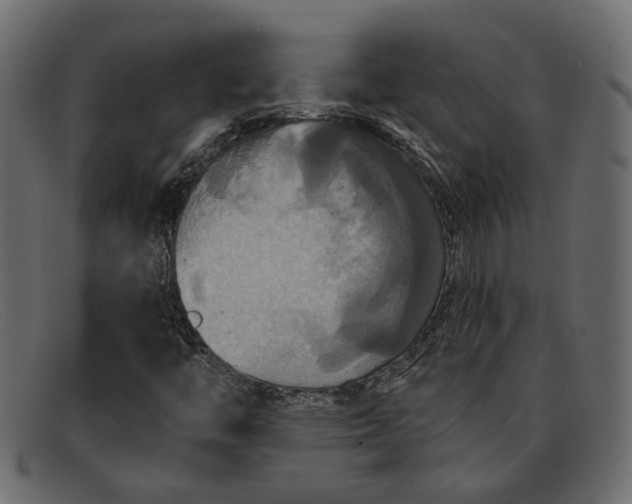 X0000091931446200709191350