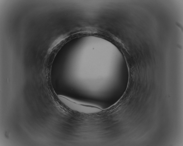 X0000091931448200709191350