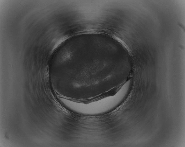 X0000091931450200709191350