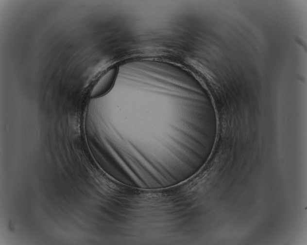 X0000091931451200709191350