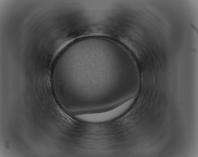 X0000091931452200709191350