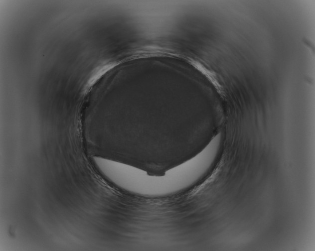 X0000091931453200709191350