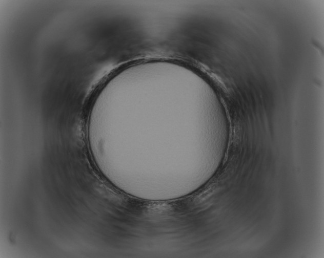 X0000091931454200709191350