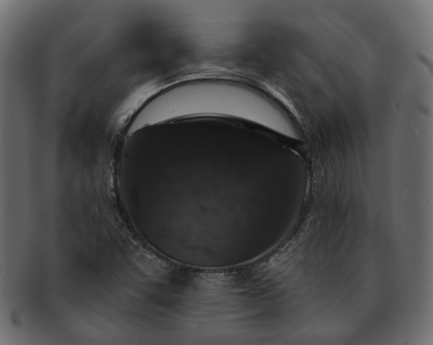 X0000091931455200709191350