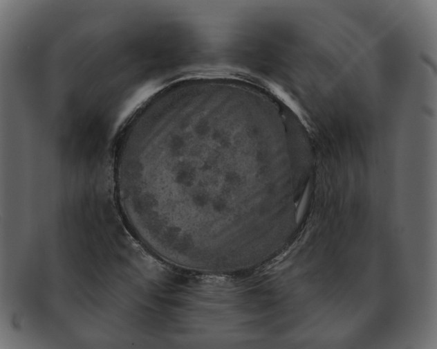 X0000091931456200709191350