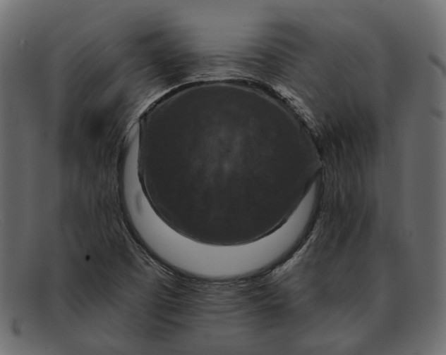 X0000091931457200709191350