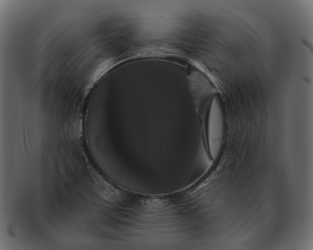 X0000091931459200709191350