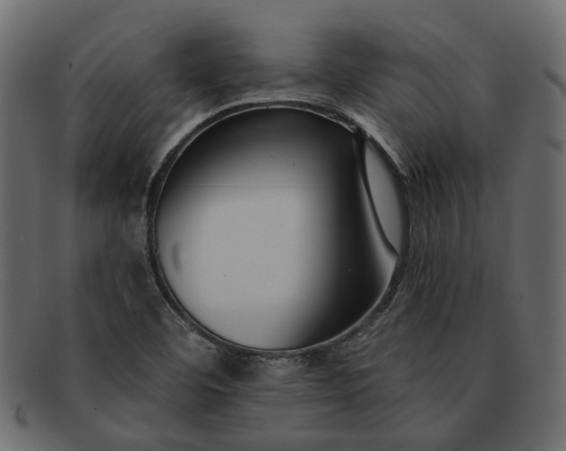 X0000091931460200709191350