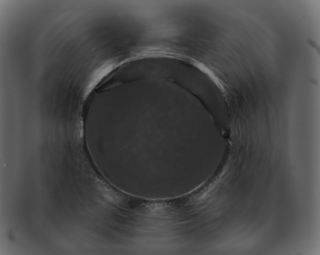 X0000091931461200709191350
