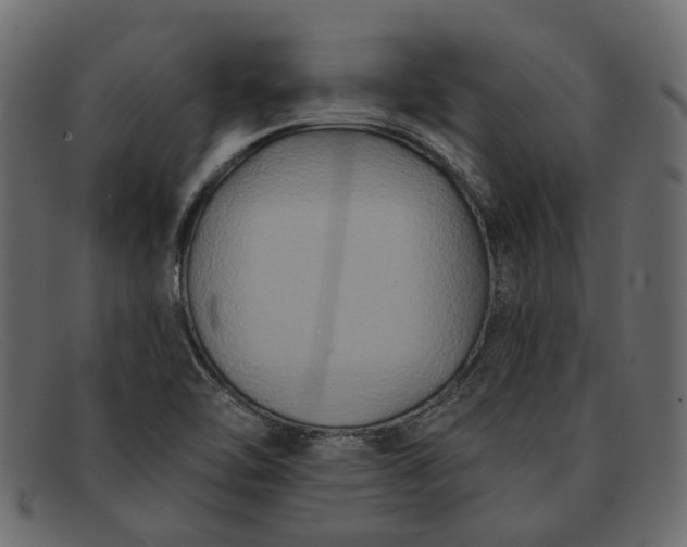 X0000091931462200709191350