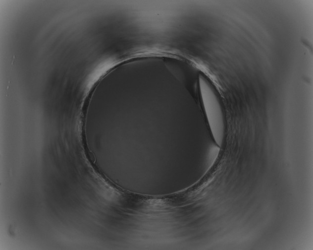 X0000091931463200709191350