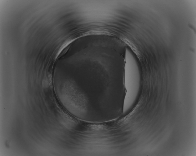 X0000091931465200709191350