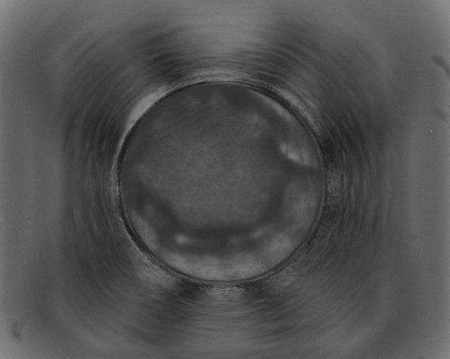 X0000091931466200709191350