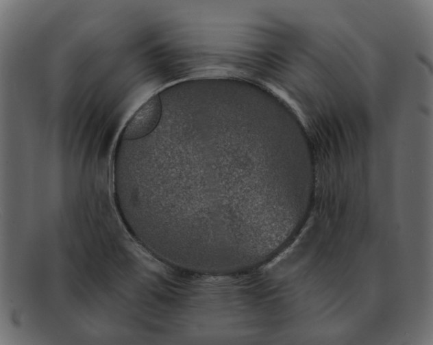 X0000091931467200709191350