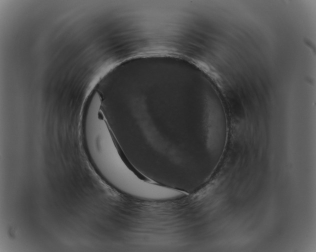 X0000091931469200709191350