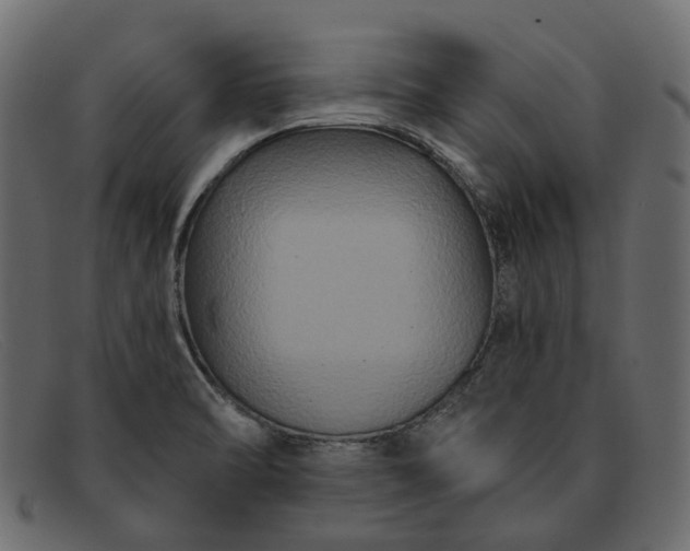 X0000091931470200709191350