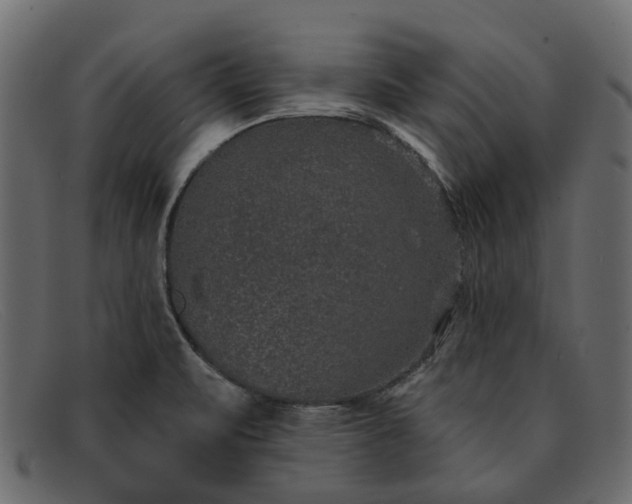 X0000091931471200709191350