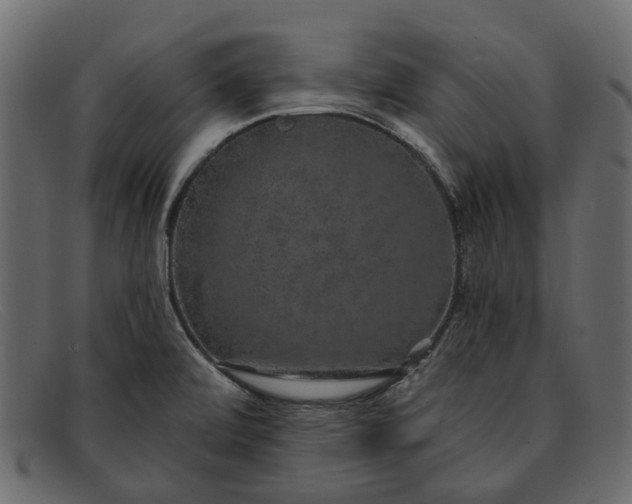 X0000091931472200709191350