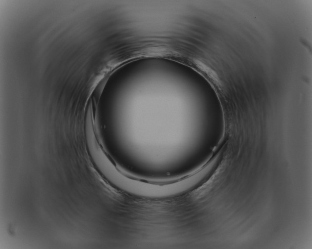 X0000091931473200709191350