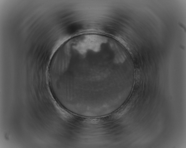 X0000091931474200709191350