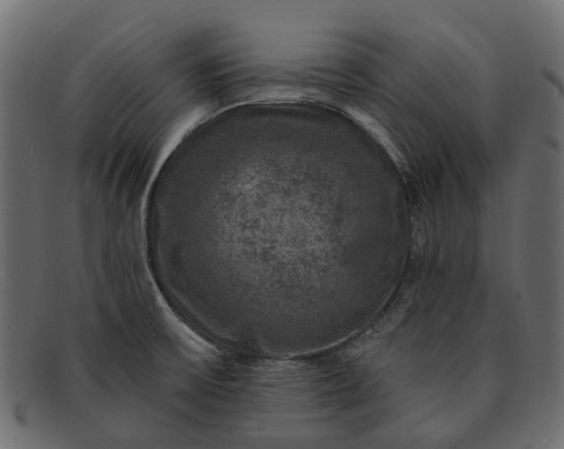 X0000091931475200709191350