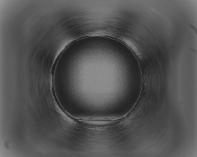 X0000091931476200709191350