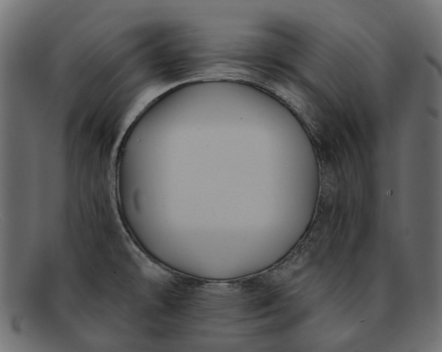 X0000091931478200709191350