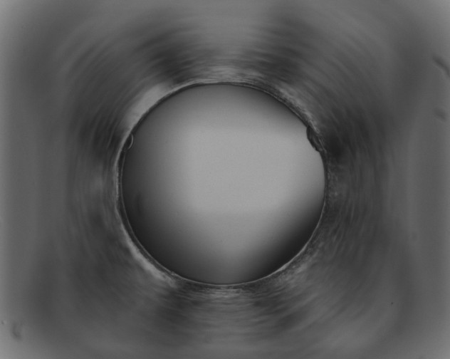X0000091931479200709191350