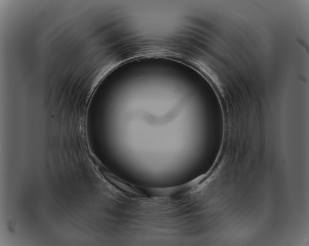 X0000091931481200709191350