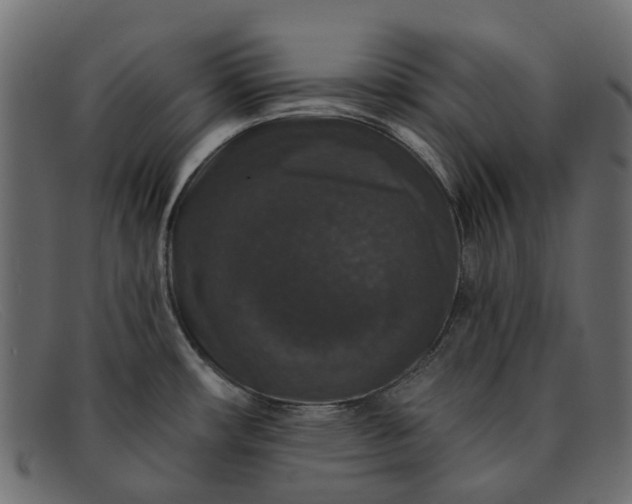 X0000091931482200709191350