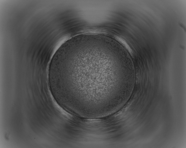 X0000091931483200709191350