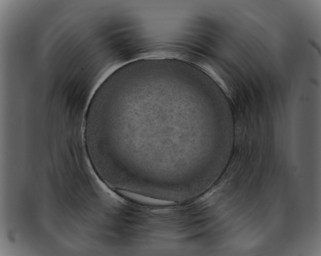 X0000091931484200709191350