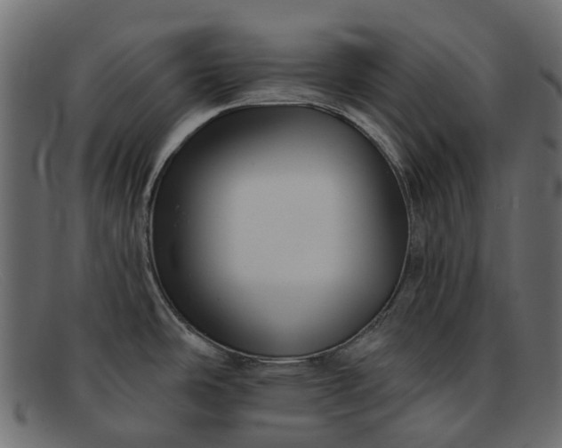 X0000091931486200709191349