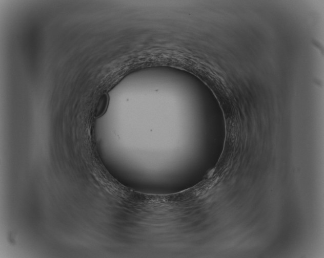 X0000091931489200709191349