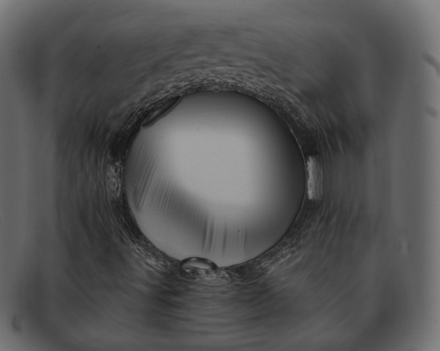 X0000091931491200709191349