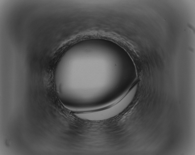 X0000091931494200709191349