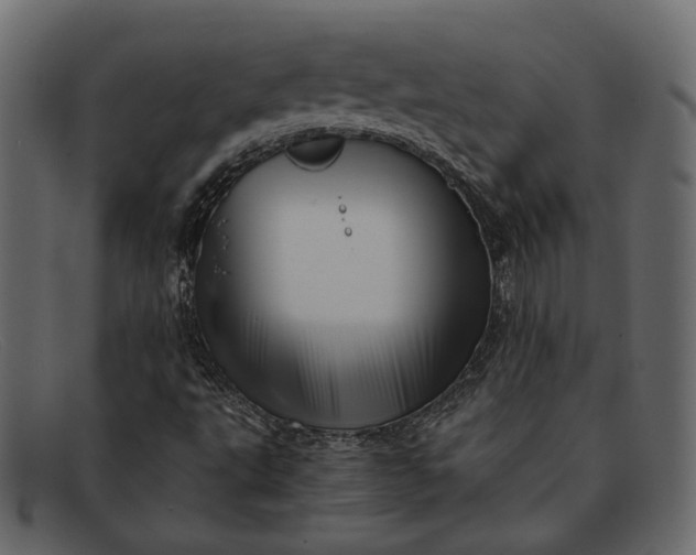X0000091931495200709191349