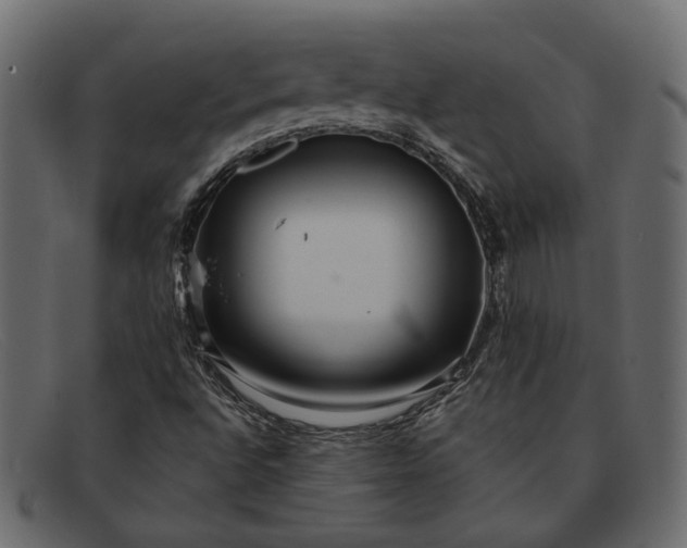 X0000091931496200709191349